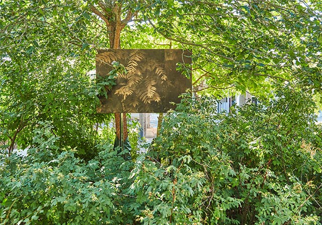 Photo of an outdoor photographic art installation.