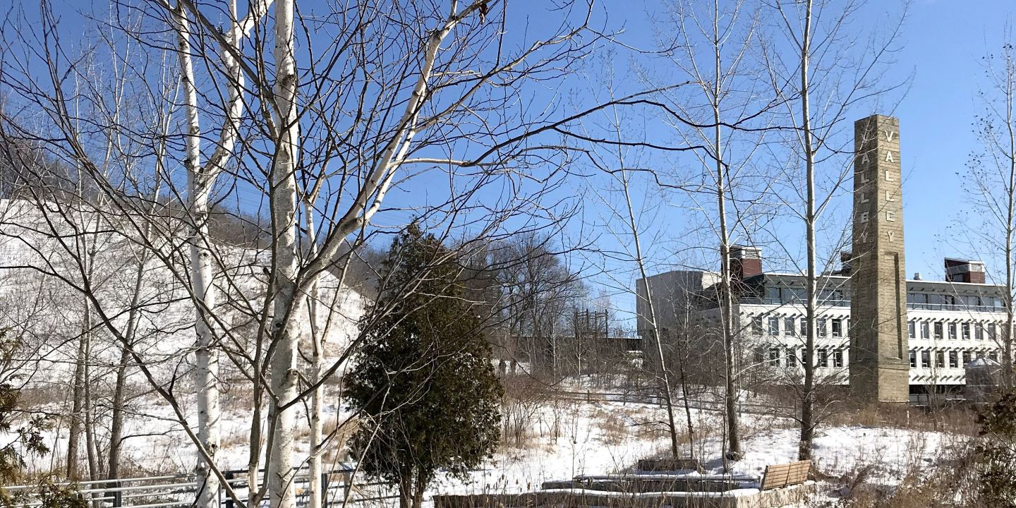 Evergreen Brick works in the winter