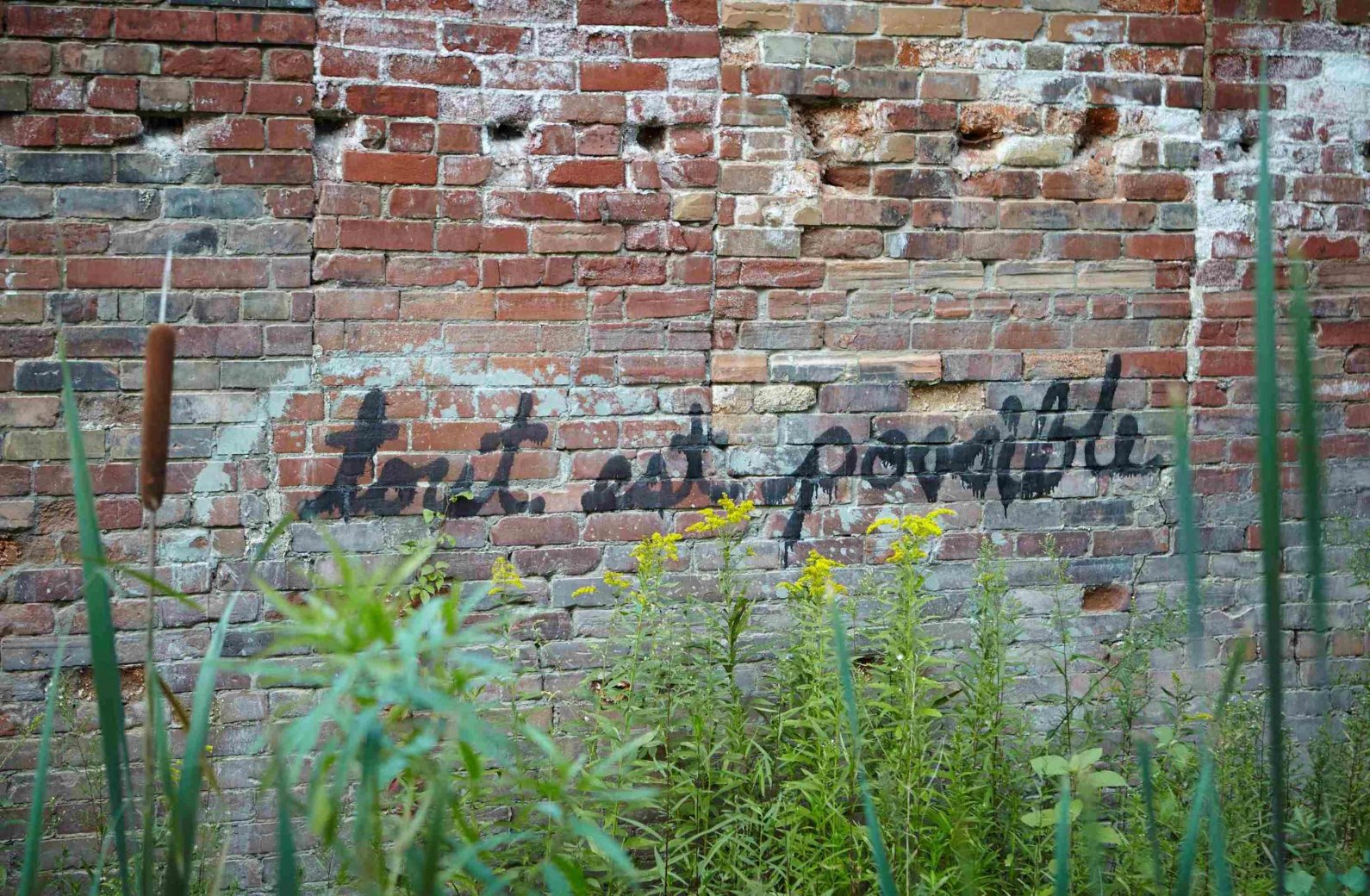 Brick wall with Tout est possible (Everything is possible) written in cursive.