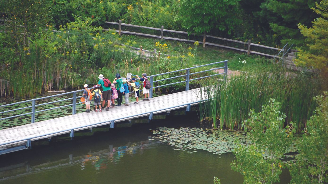 Group of people gathered on bridge overlooking the pond
