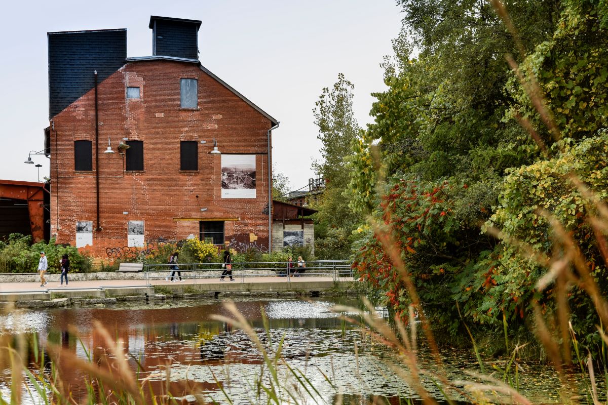 People strolling by the ponds at Evergreen Brick Works