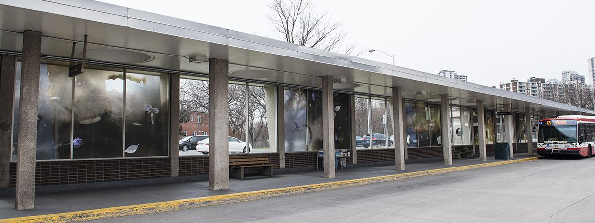 Toronto Transit Commission outdoor bus station/shelter with TTC bus in the corner of the image.
