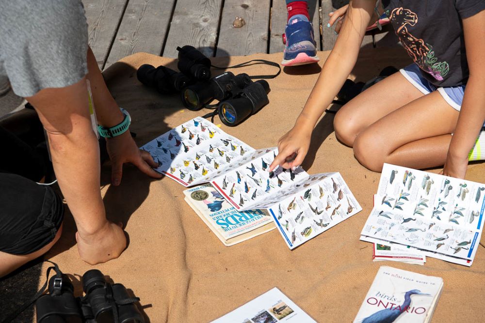 adventure-camp-fete-21