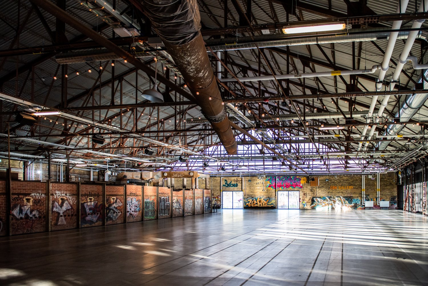 ebwvolunteerwalk_michaeldesbiens_2019-05-07-2