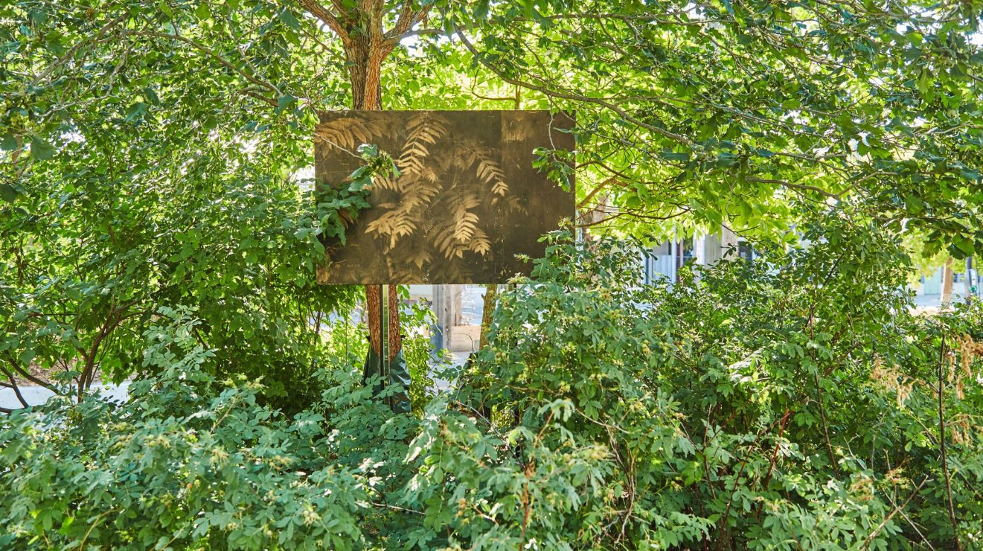 ebw_artproject_sandrabrewster_2021