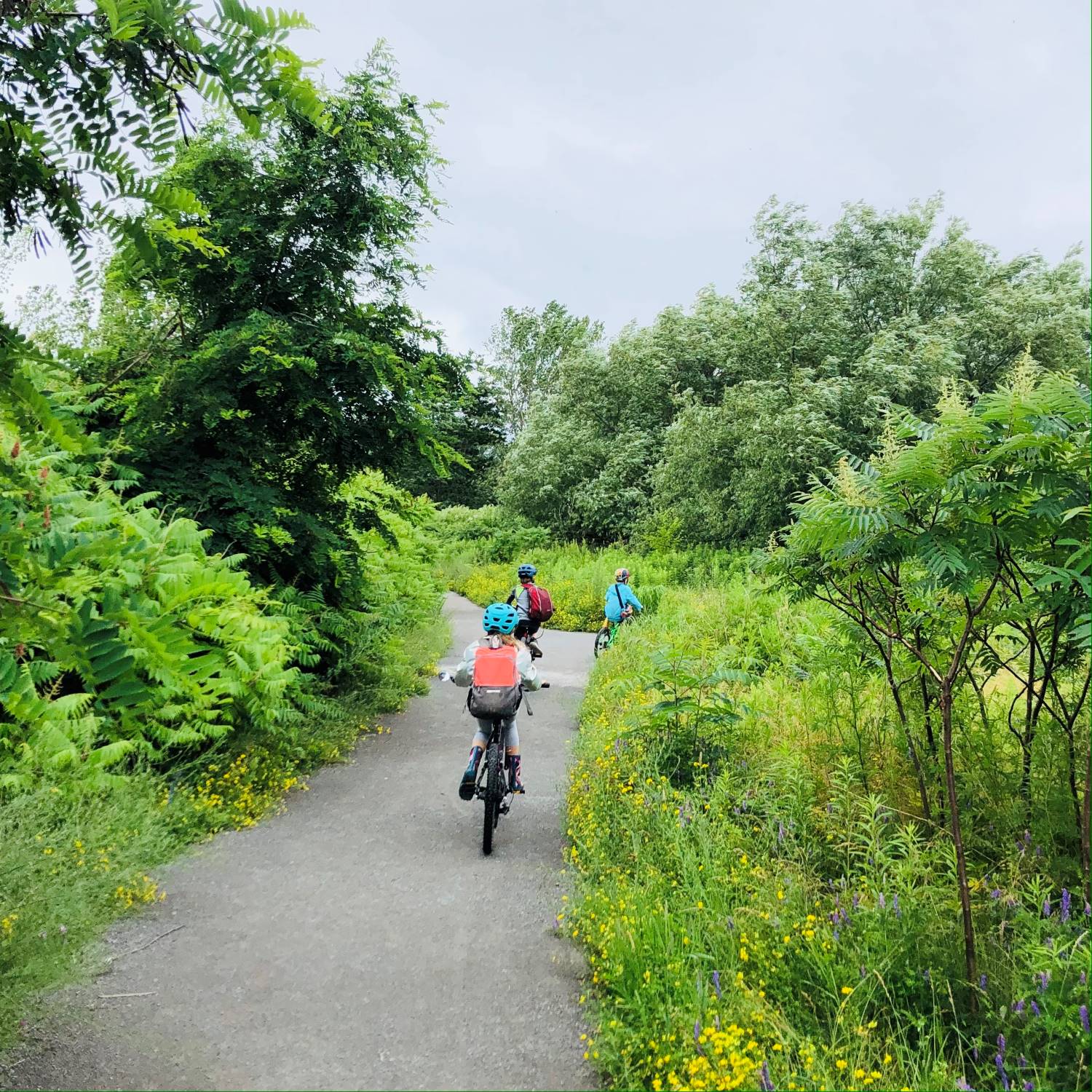 ebw_bikeventurepage_header1500x1500