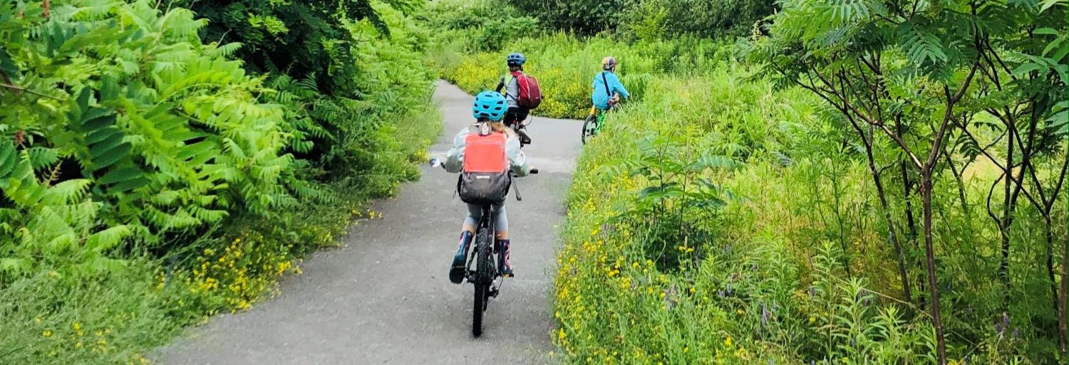 Kids on bikes riding through nature