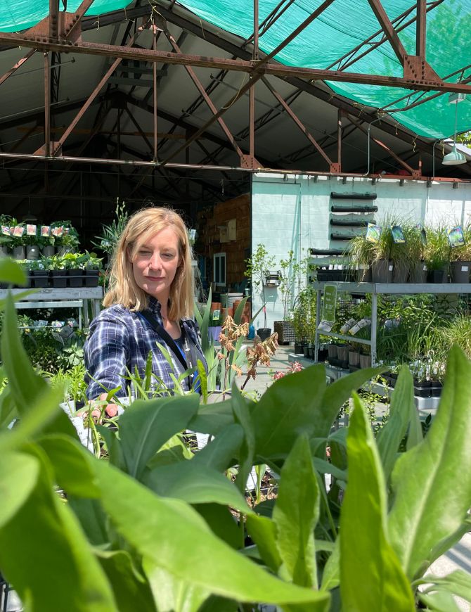 <br />
<b>Warning</b>:  Undefined variable $alt in <b>/sites/evergreen-staging.codebusters.app/files/wp-content/themes/evergreen-theme/modules/module-11-action_cards.php</b> on line <b>97</b><br />
