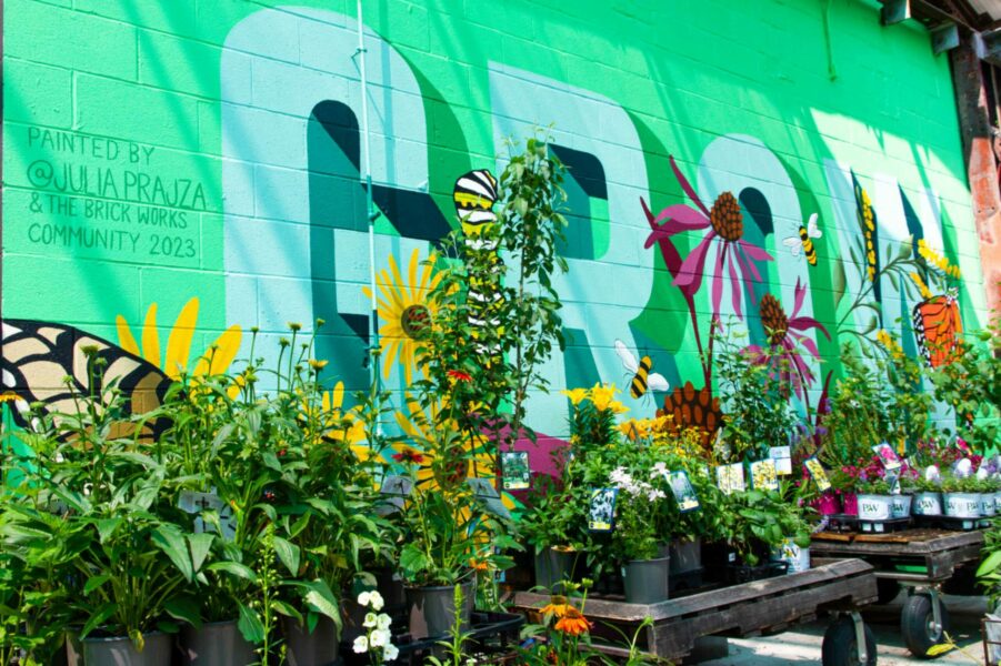 Plants for sale in front of a mural at the Evergreen Brick Works Garden Market