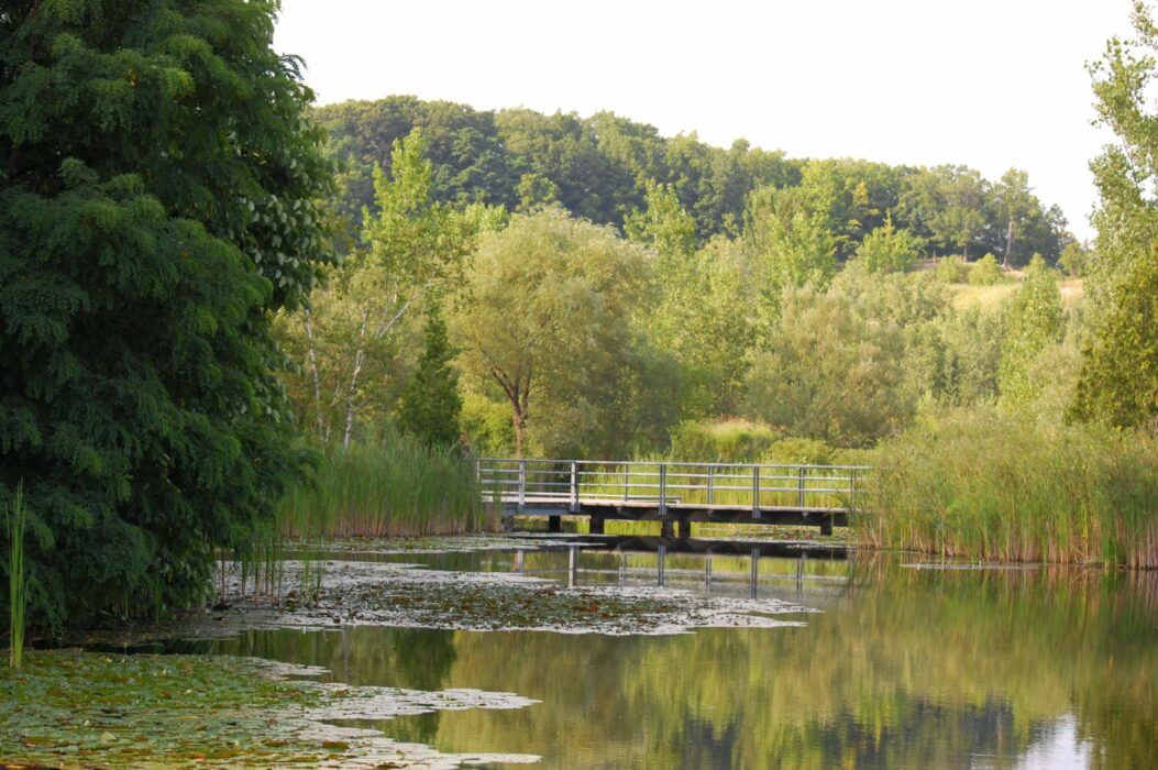 ebw_summerweds_pond_johnoyston_08-06-19_003