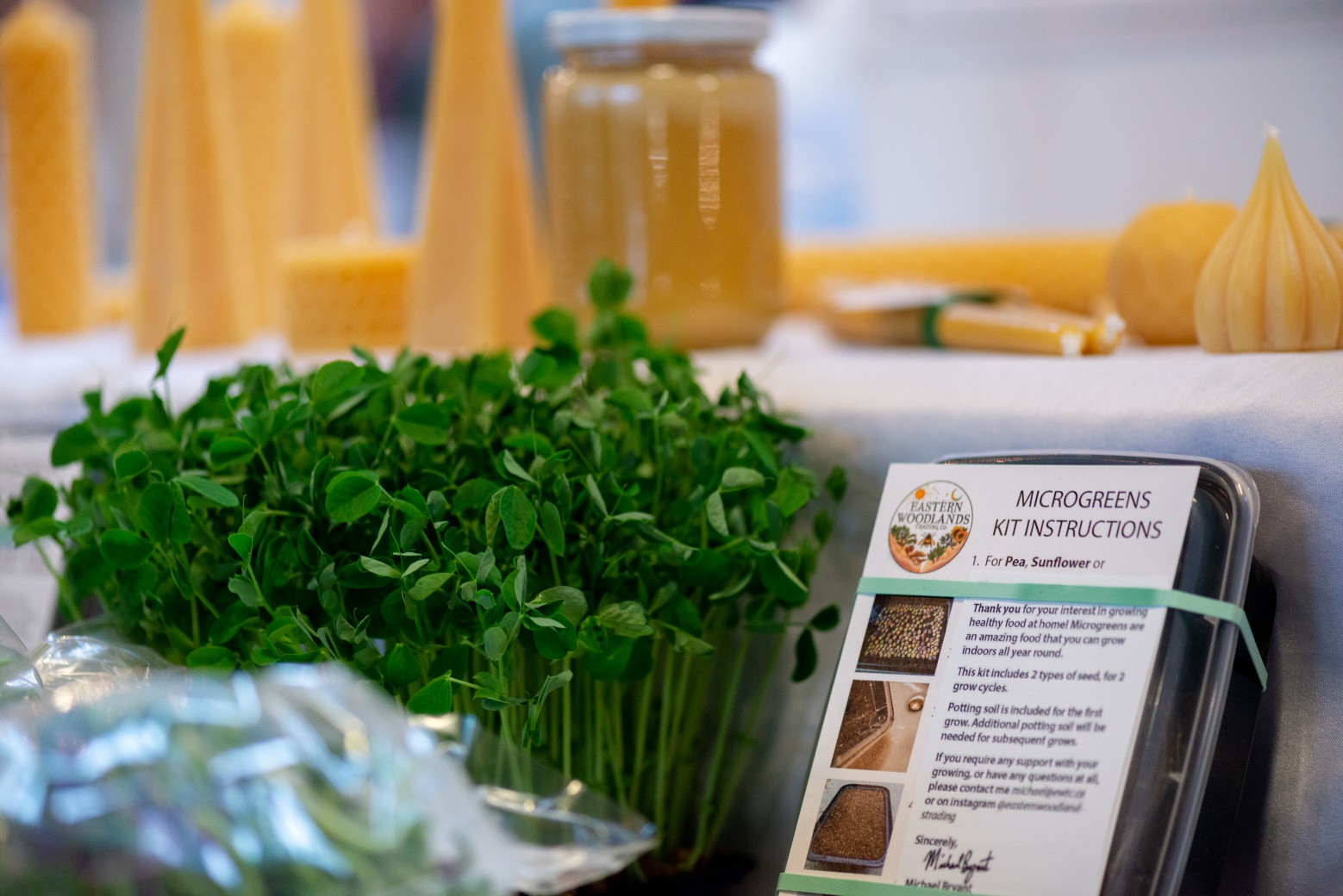 ewb_farmersmarket_25_03_23_alyoshikiv_009