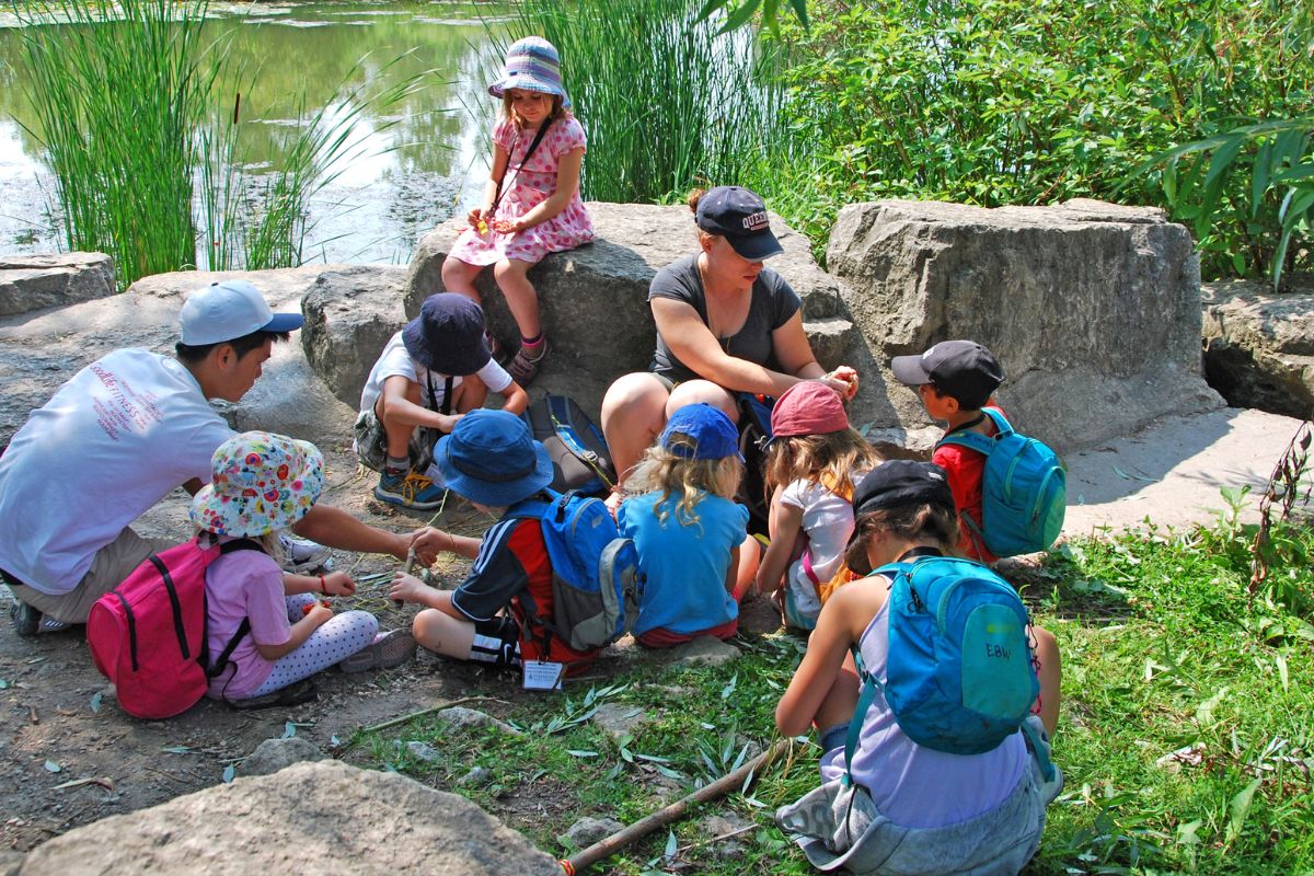 <br />
<b>Warning</b>:  Undefined variable $alt in <b>/sites/evergreen-staging.codebusters.app/files/wp-content/themes/evergreen-theme/modules/module-11-action_cards.php</b> on line <b>97</b><br />
