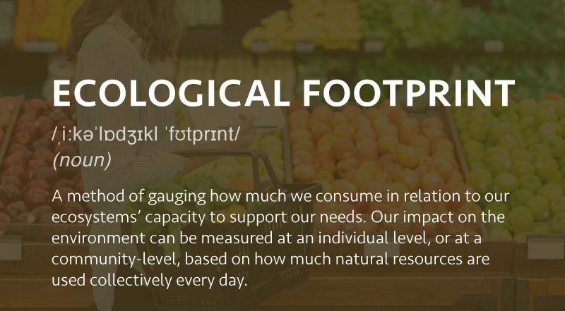 A method of gauging how much we consume in relation to our ecosystems’ capacity to support our needs. Our impact on the environment can be measured at an individual level, or at a community-level, based on how much natural resources are used collectively every day.