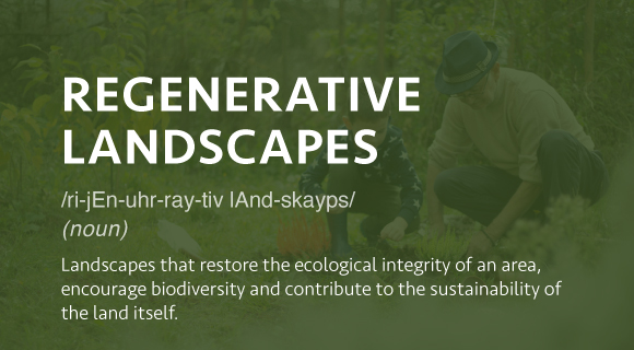 Landscapes that restore the ecological integrity of an area, encourage biodiversity and contribute to the sustainability of the land itself.