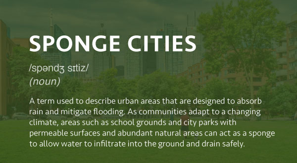 A term used to describe urban areas that are designed to absorb rain and mitigate flooding. As communities adapt to a changing climate, areas such as school grounds and city parks with permeable surfaces and abundant natural areas can act as a sponge to allow water to infiltrate into the ground and drain safely.
