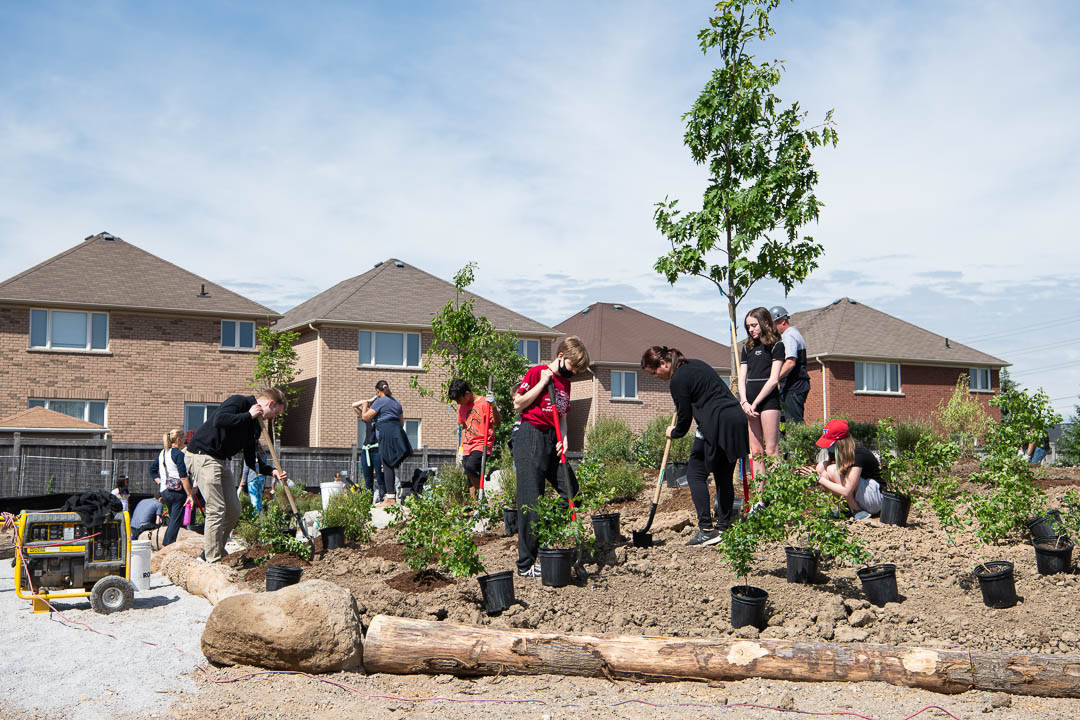 Group of young people plant shrubs in soil on school grounds