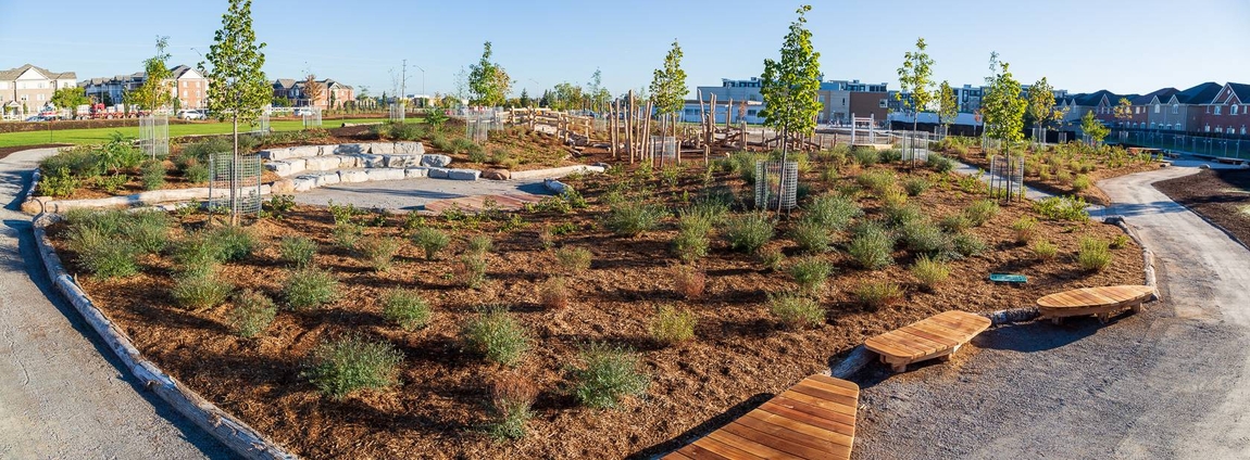 panoramic view of school ground featuring vegetation, pathways, play structures and stone seating