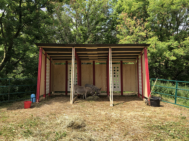 microsoftteams-image-1