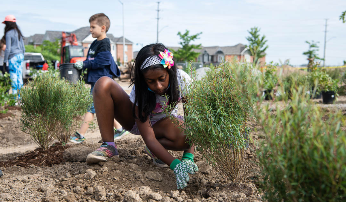 uhi_story_planting_day-png