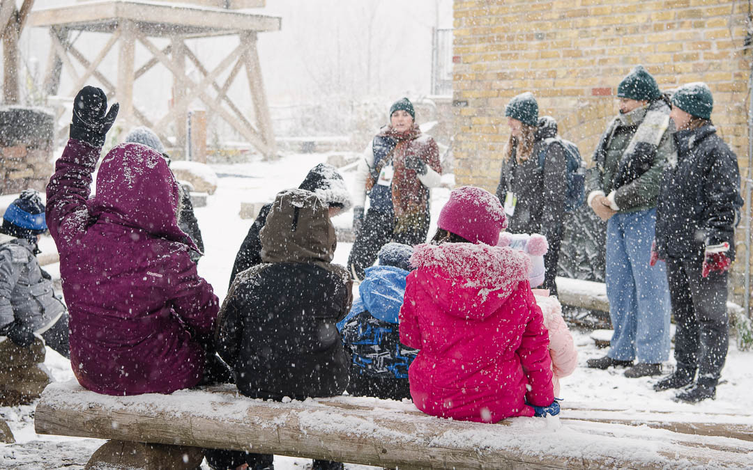 winter-vsp-nov-15-21