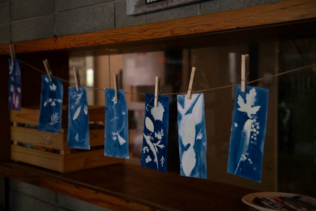 cyanotyping-postcards