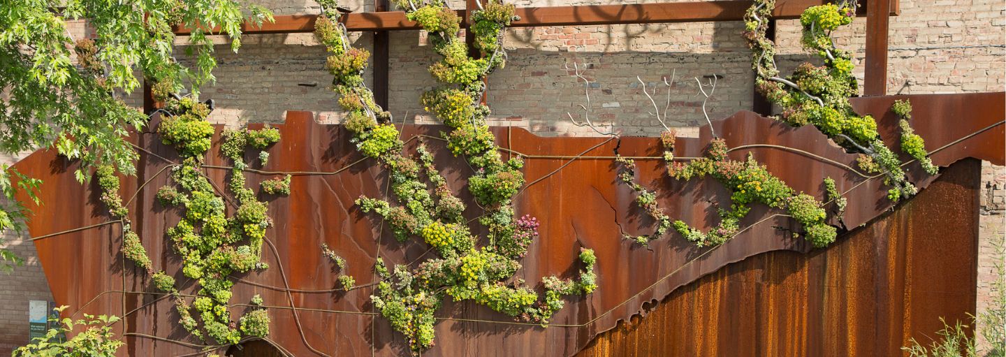 WatershedWall_CameronCollyer