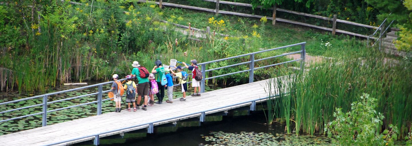 Children looking out into the pond.