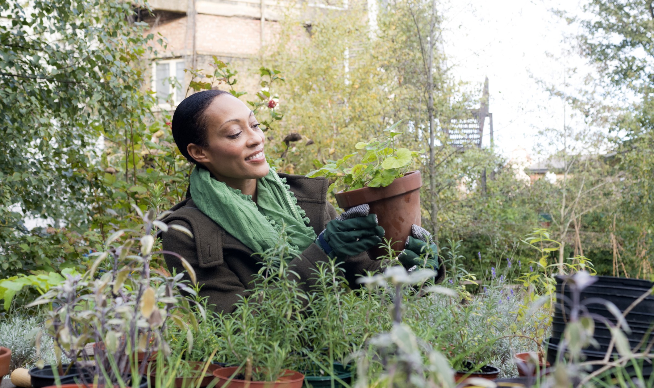 istock-187730592-jpg