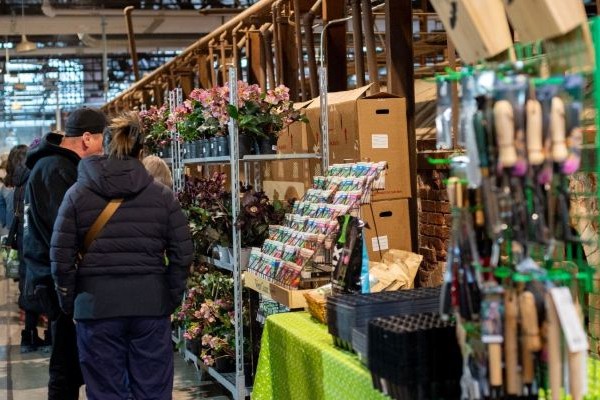 people looking at a stand of native plants seeds