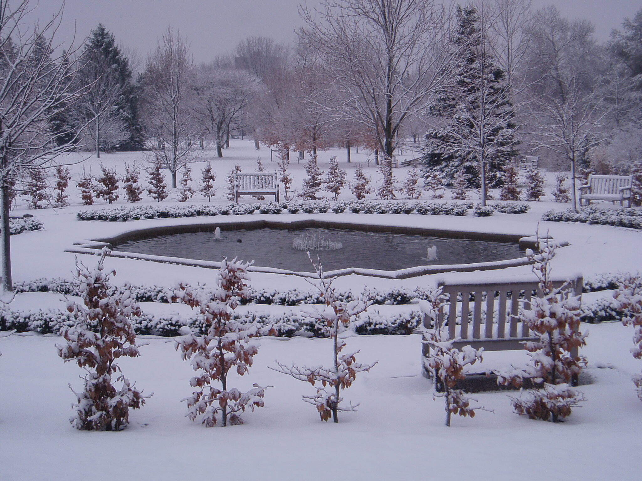 park covered in snow