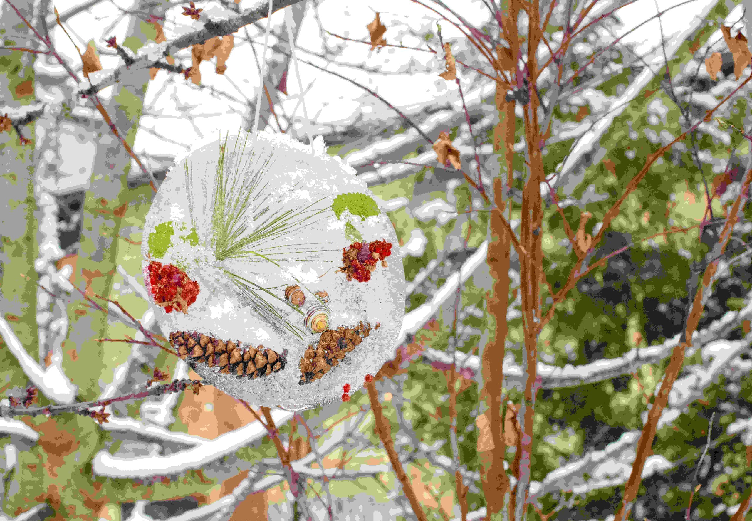 un capteur de soleil fabriqué à partir de matériaux naturels une ligne de pommes de pin suspendue à une branche d'arbre en hiver