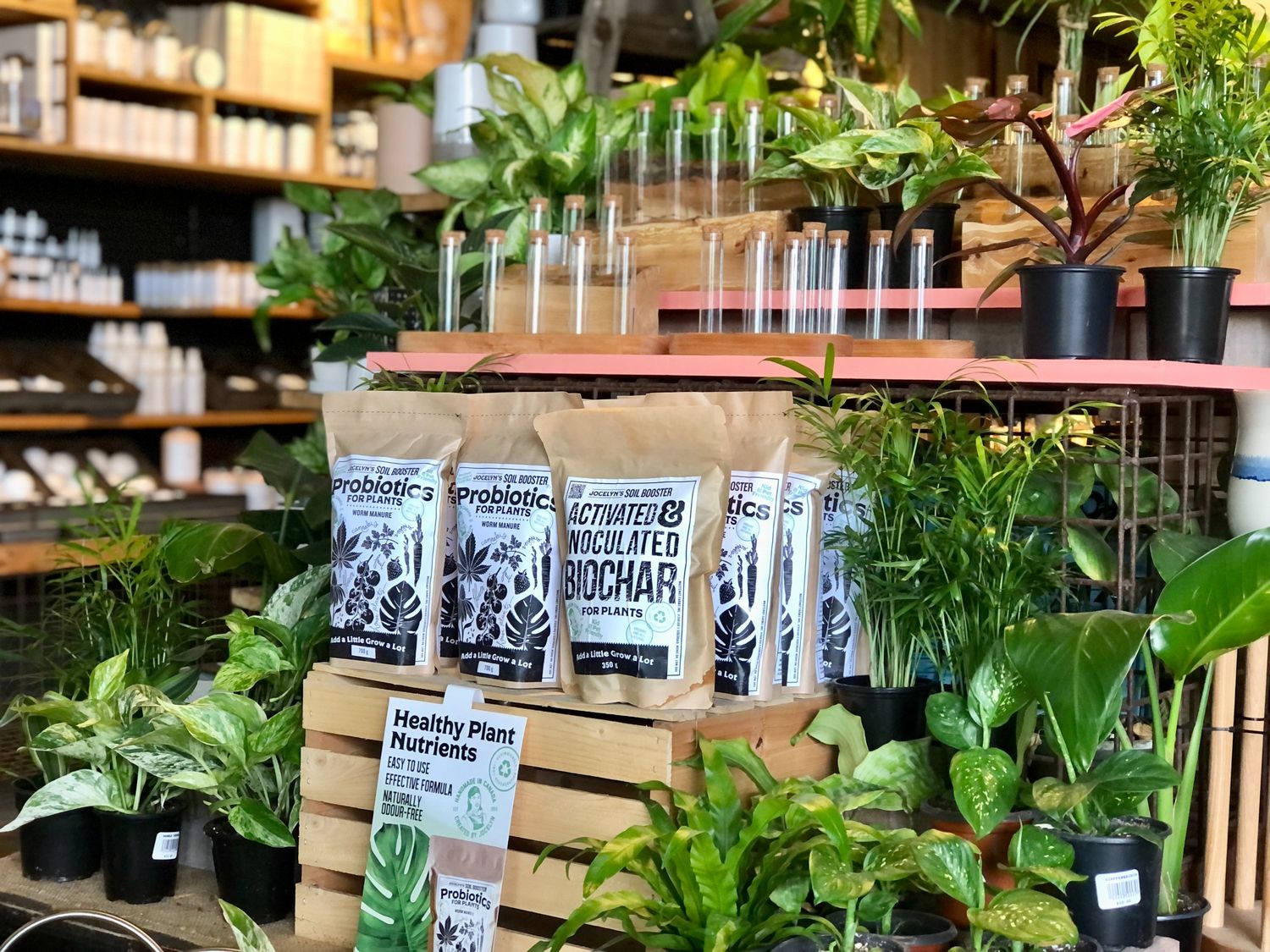 plants on display in a market indoors