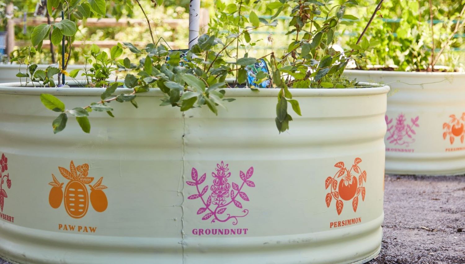 07142022_brickworks2449_1920_1280_80_thumbnail