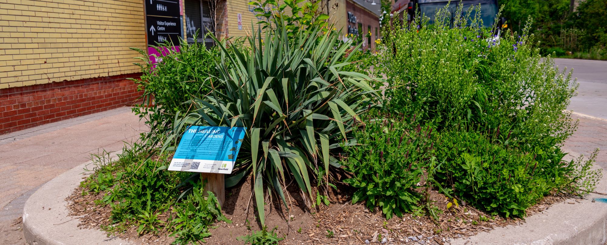 gardens_healing_0632_banner