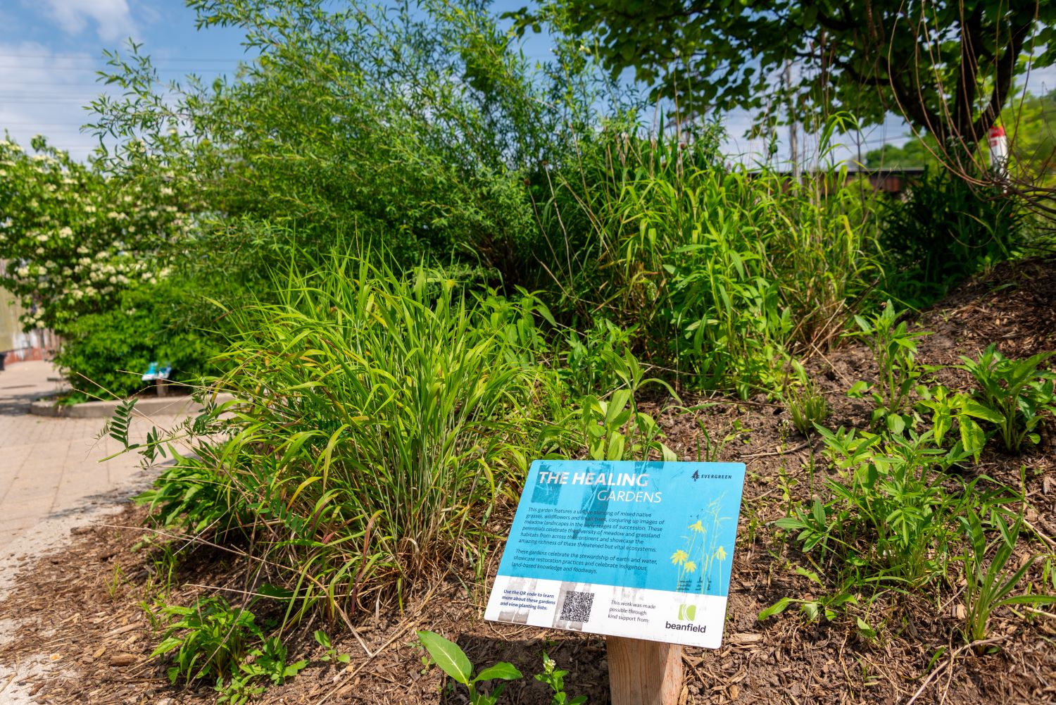 gardens_healing_0657