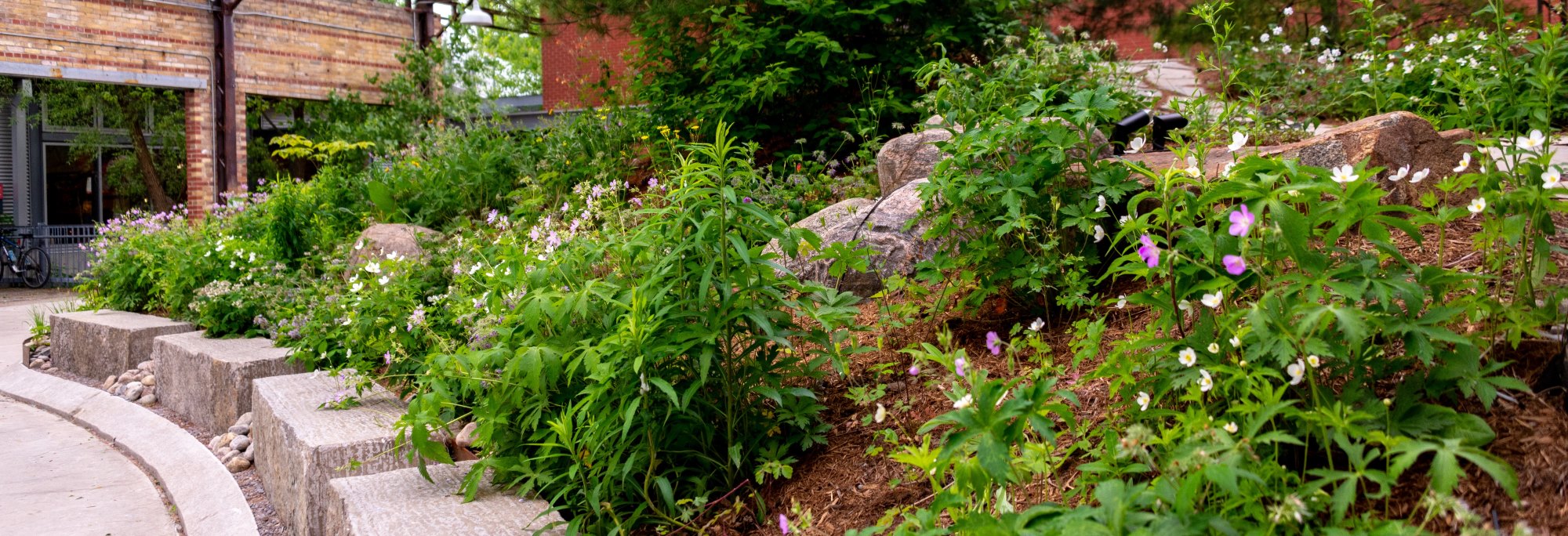 gardens_koerner_0938_banner