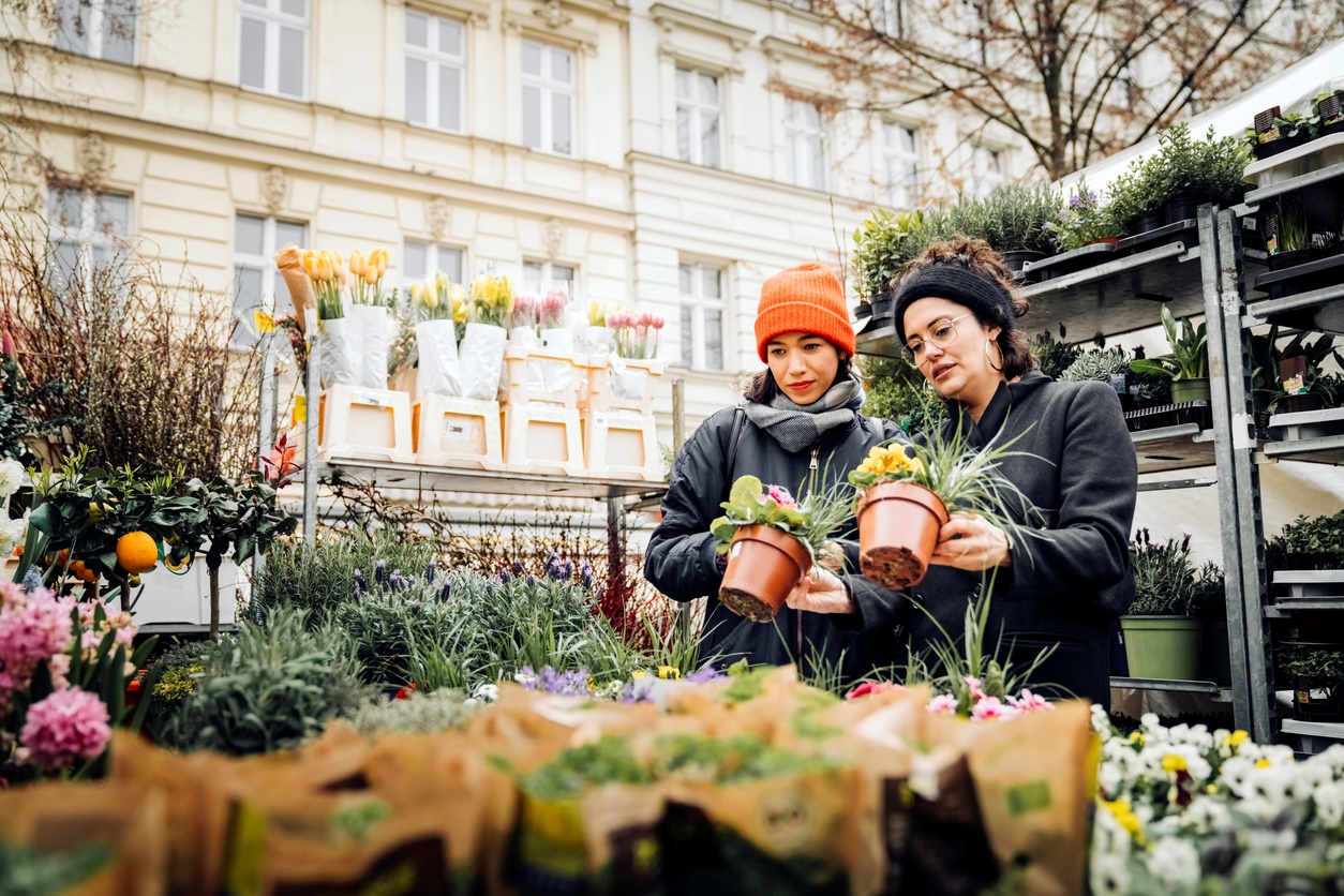 Deux amies achetant des plantes en pot au marché en plein air