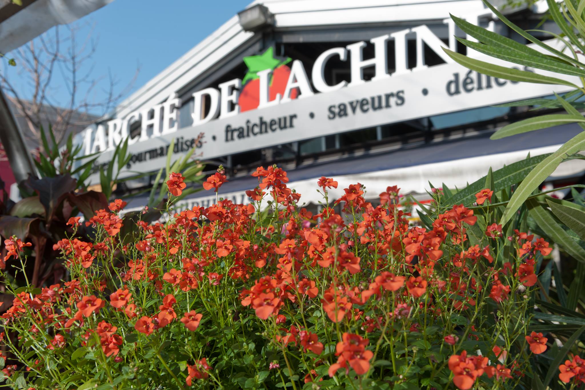 Market building with flowers in foreground