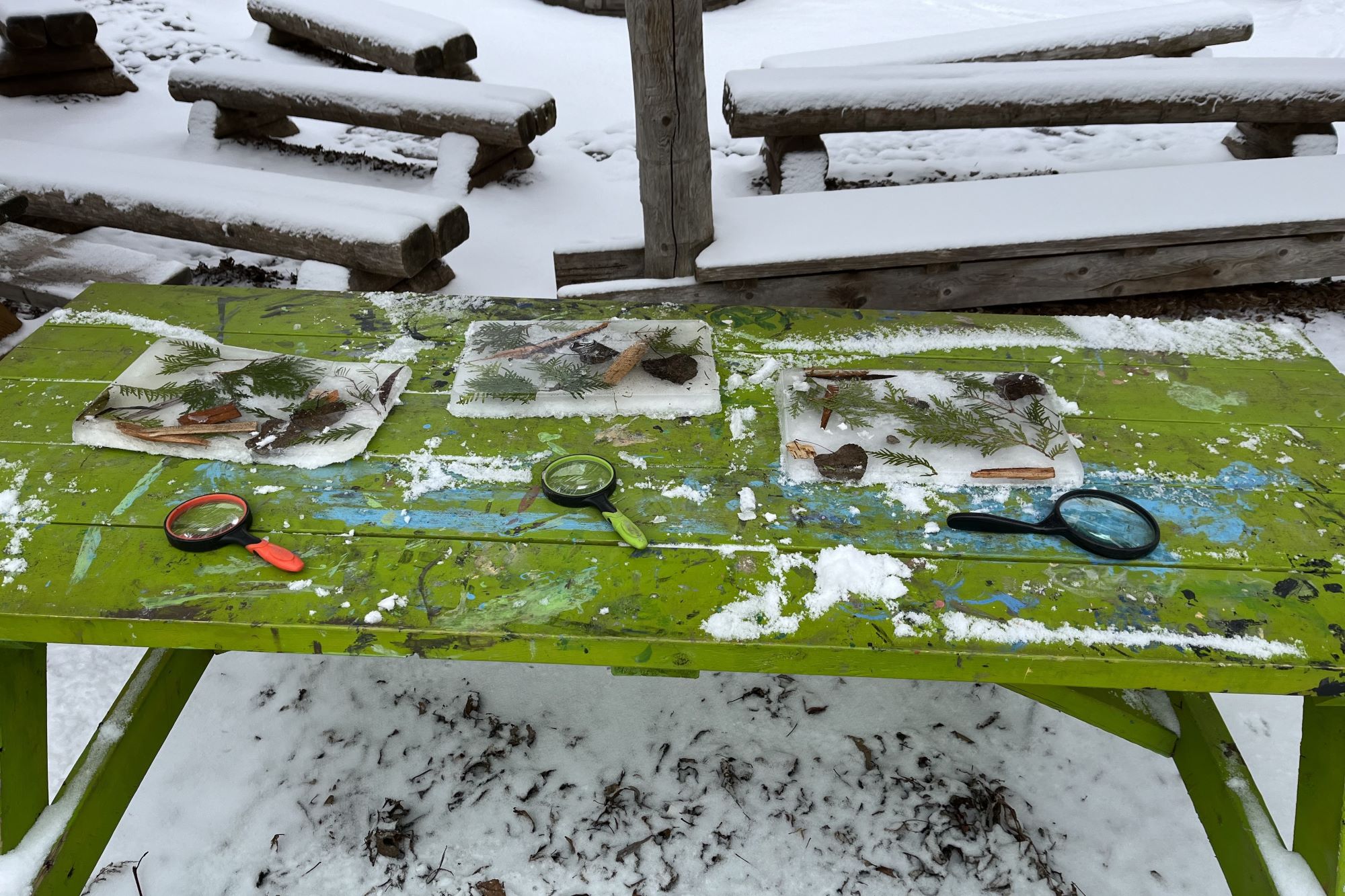 iceblocks on table with natural elements