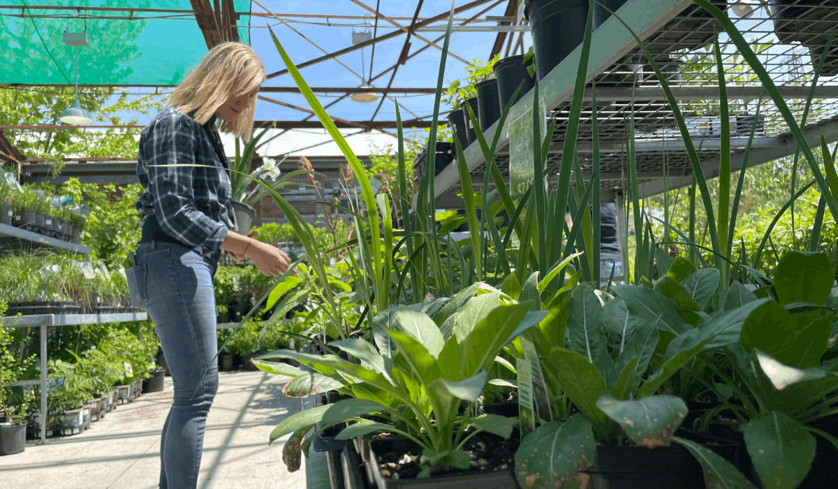 Women shops for plants outdoors at the Garden Market