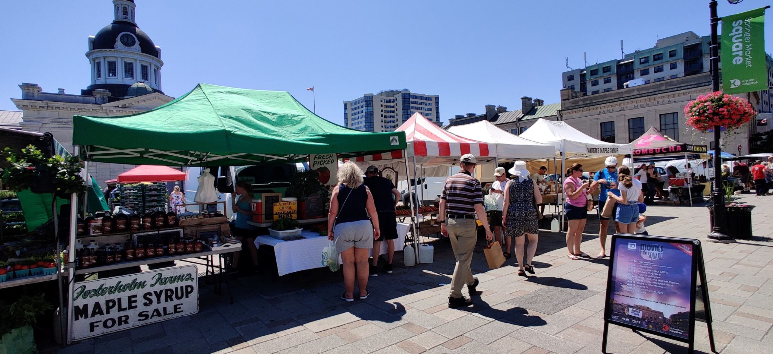 People visit market vendors in public square with buildings in background