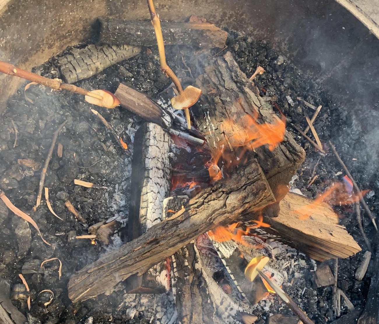 fire pit with roasting apples on a stick