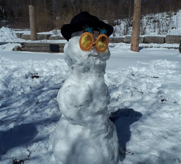 snowman in the kids gardens