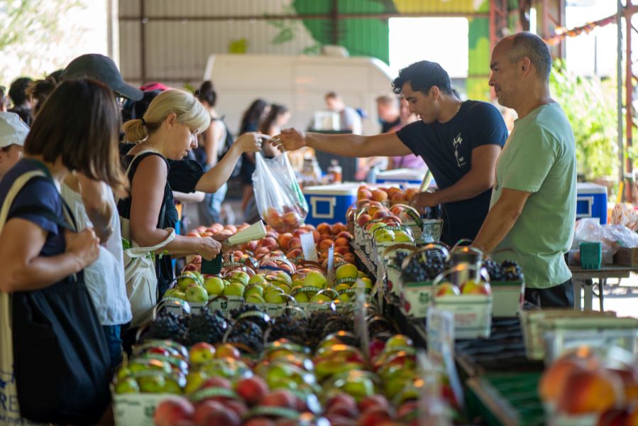 ebw_farmersmarket_reyesfruit_unknownphotographer_unknowndate_005-3