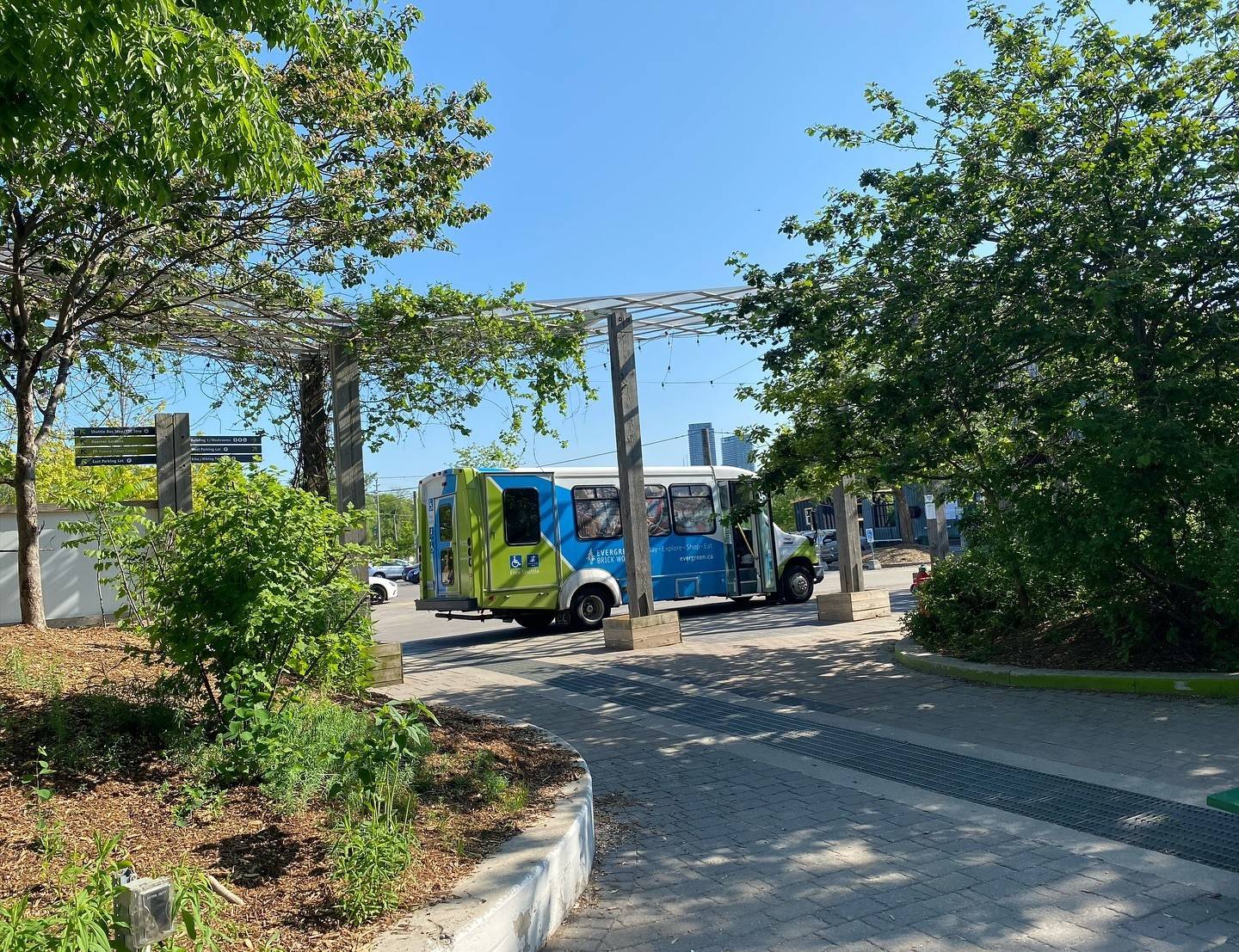 A colourful bus parked among trees