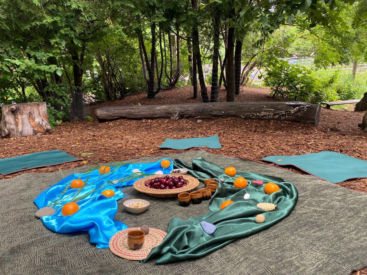Fruits, rocks, blankets and cups on the ground in the woods