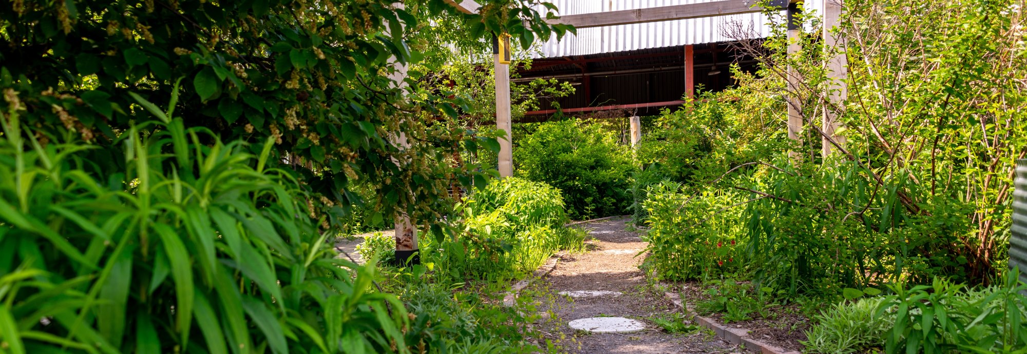 gardens_pollinator_0739_banner