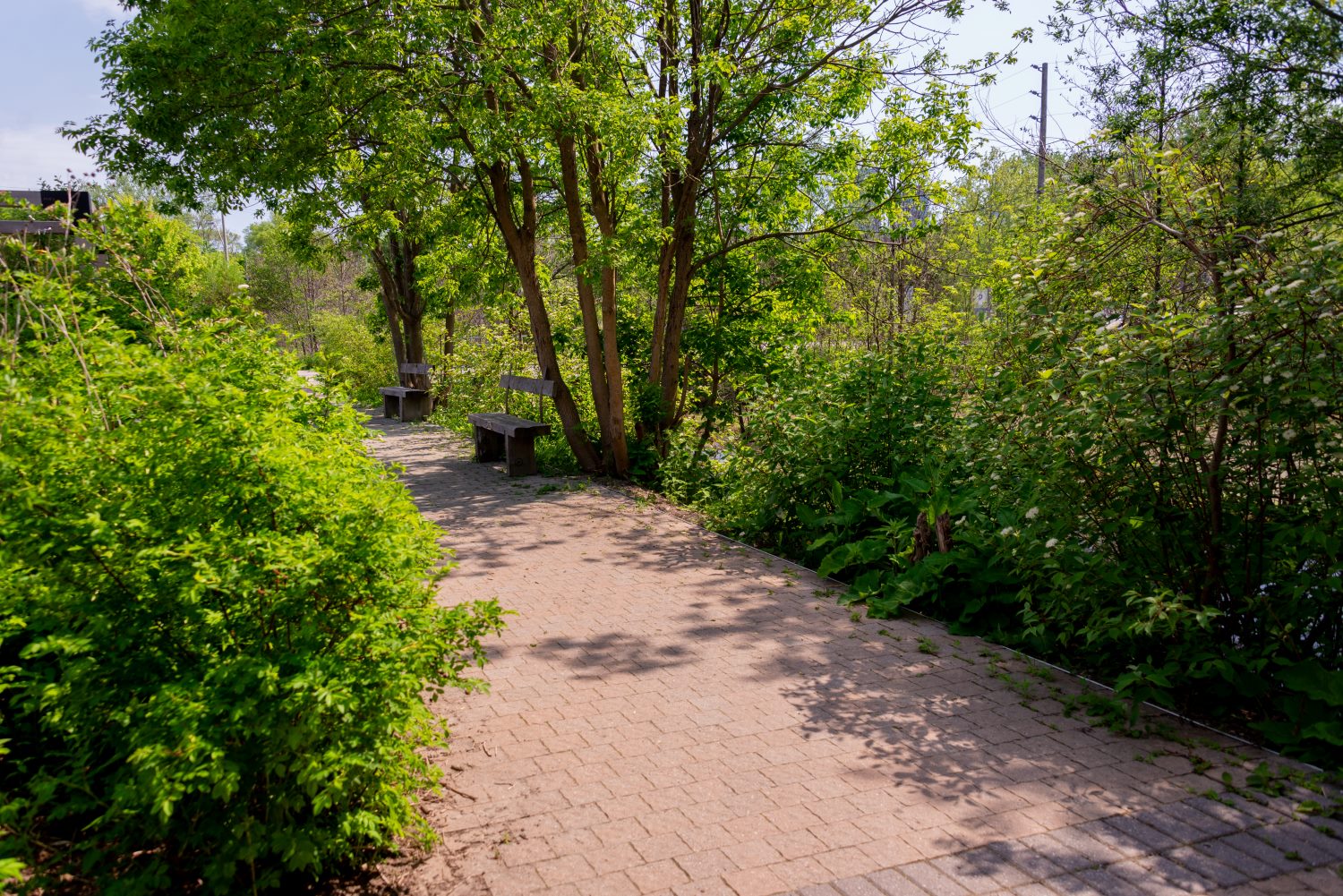 gardens_pollinator_0744