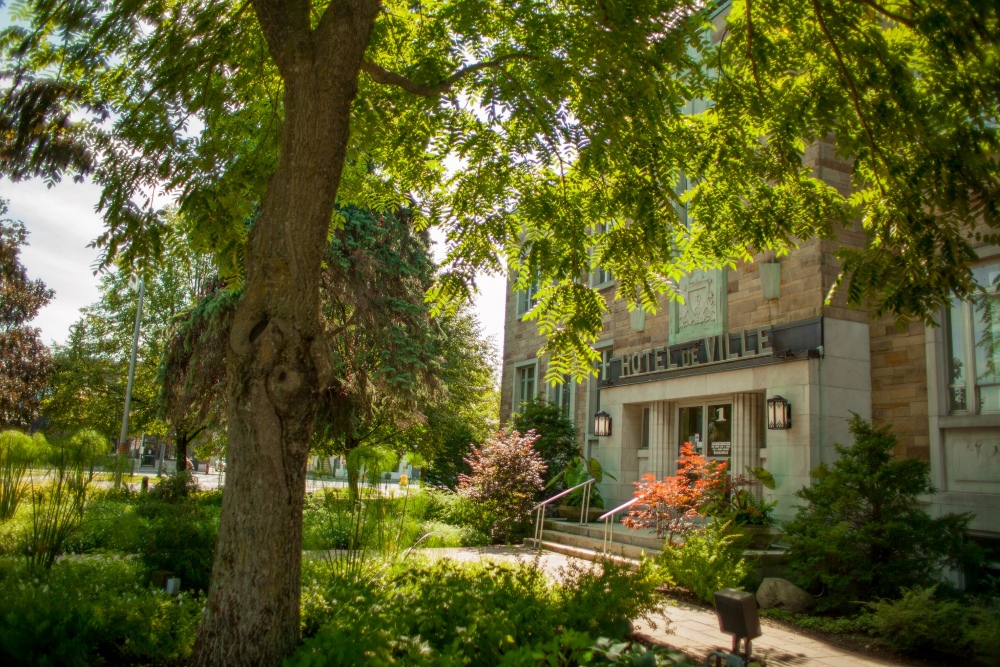 Lush green area in front of Victoriaville's City Hall