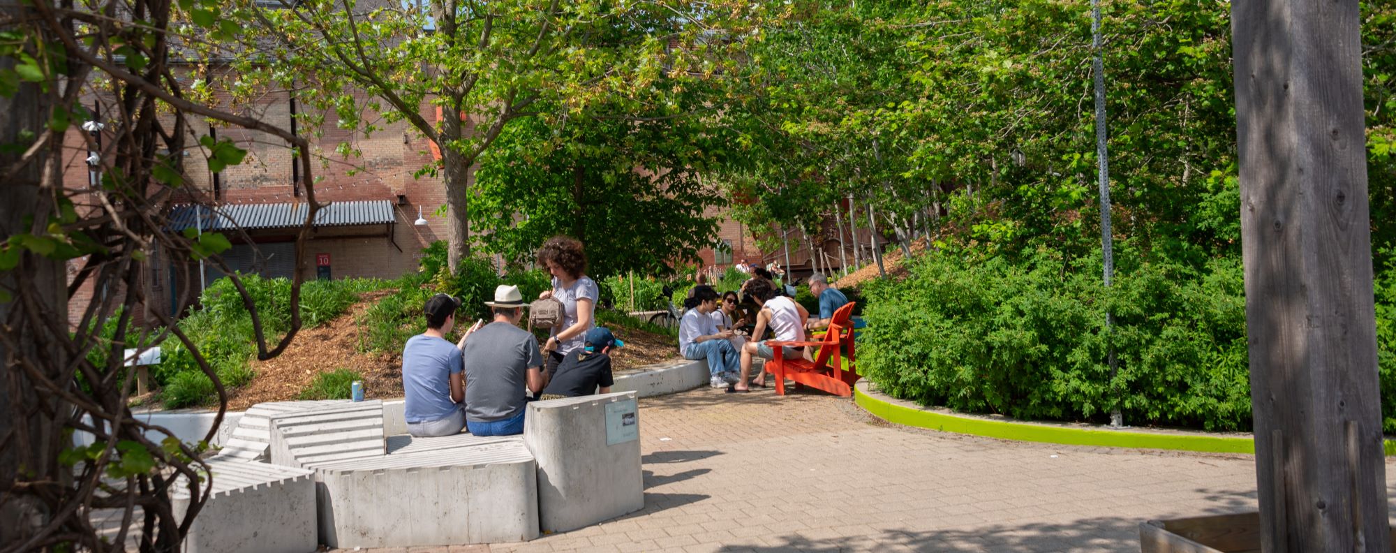 Photo credit : Al Yoshiki